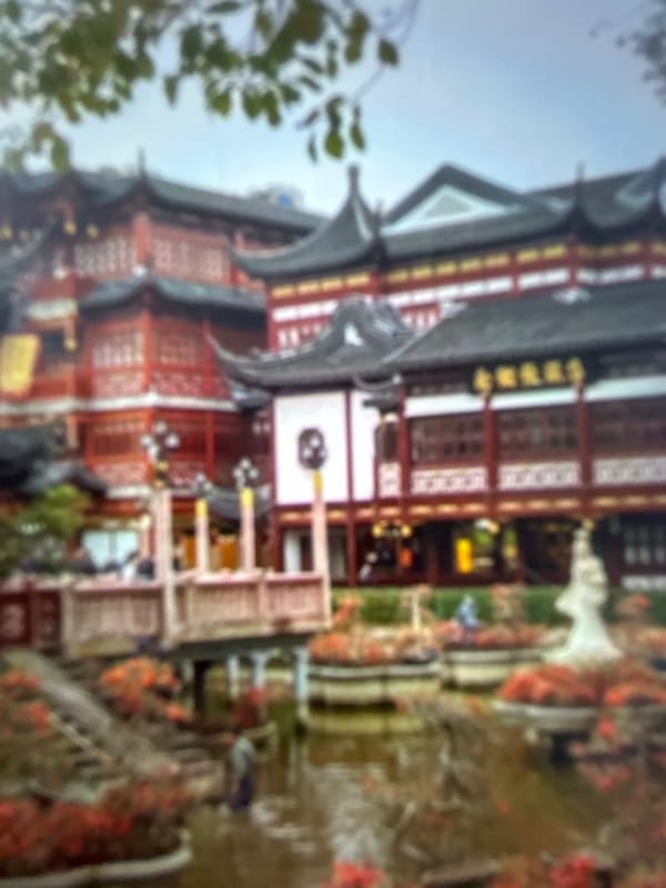 Gelendzhik's Chinese-style landmark mixed with crypto content