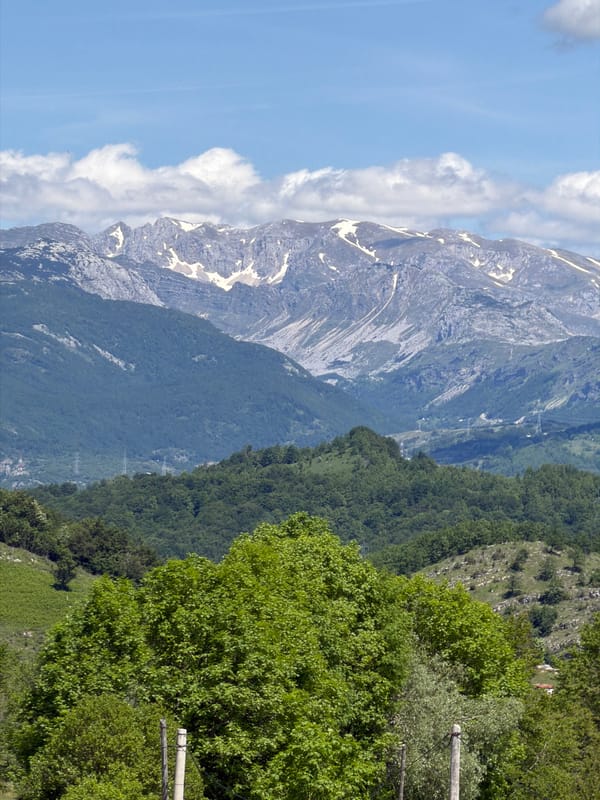 Peaceful morning scenes captured in Montenegro's mountainous Miloševići region