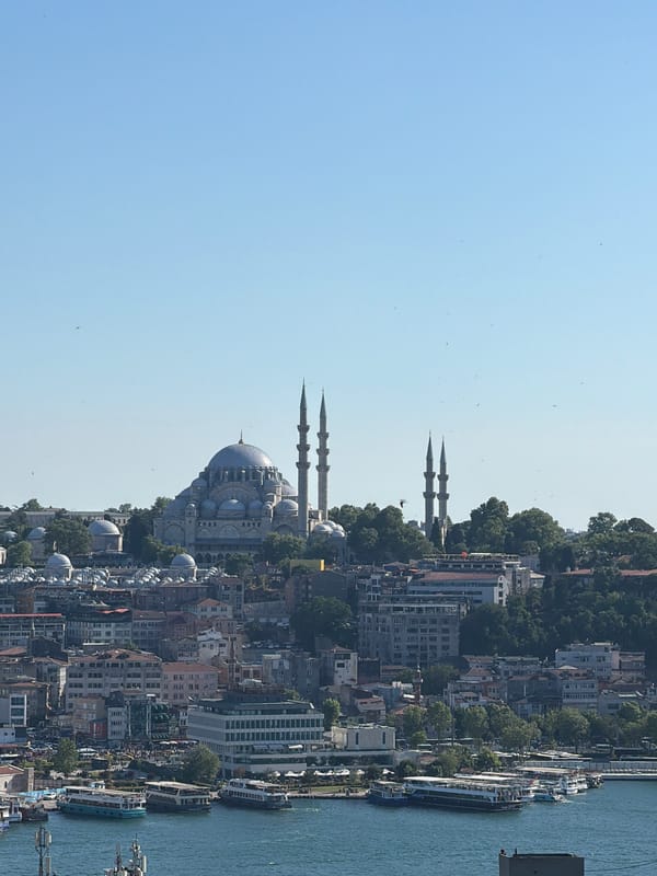 Tourist explores Beyoğlu district shops, cats, landmarks on sunny afternoon