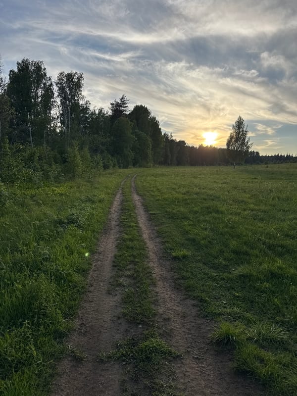 Woman photographs herself in golden hour countryside near Mars, Russia