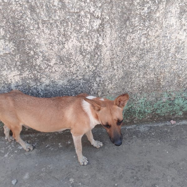 Venezuelan communities document cooking, haircuts, daily residential life