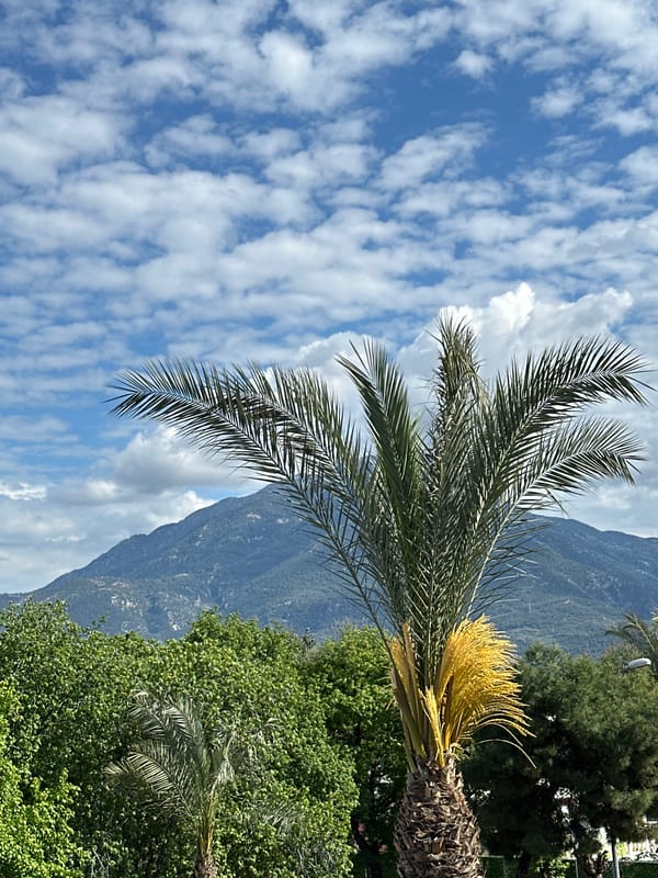 Ordinary afternoon moments captured across Fethiye, Turkey