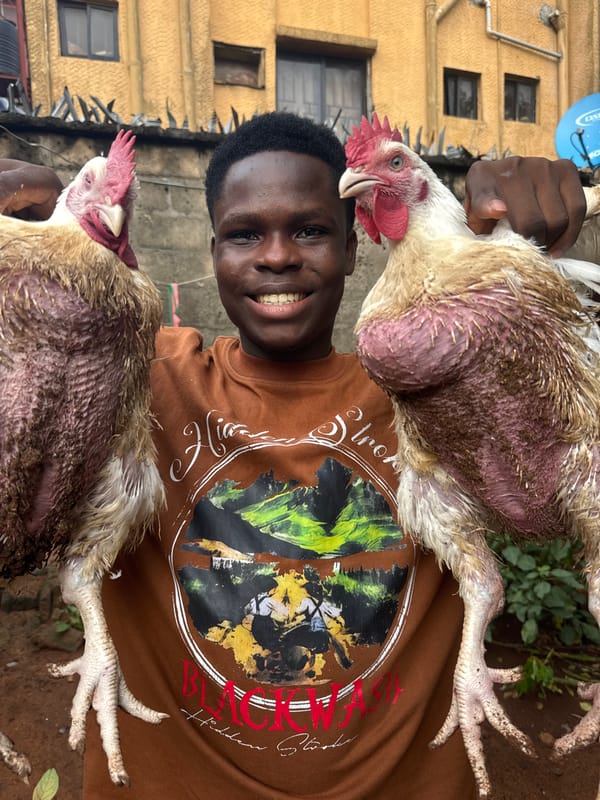Young man with chickens spotted in Onitsha vehicle
