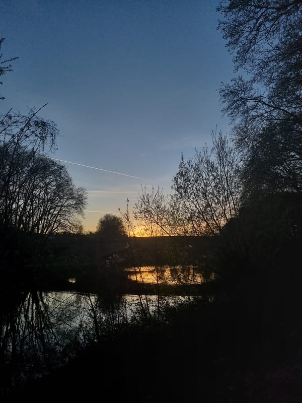 Person enjoys outdoor activities amid littered Saarbrücken park