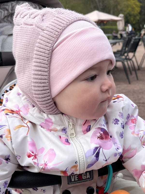 Baby outing documented in Pavlovsk's historic district