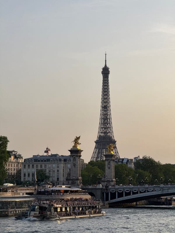 Evening Seine river cruise activity documented near Eiffel Tower