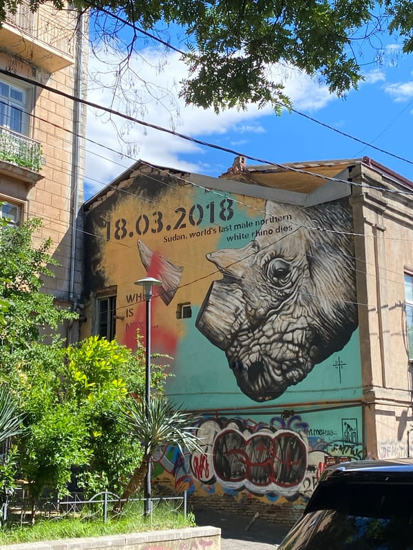 Tbilisi street art neighborhood, graffiti van, café stops