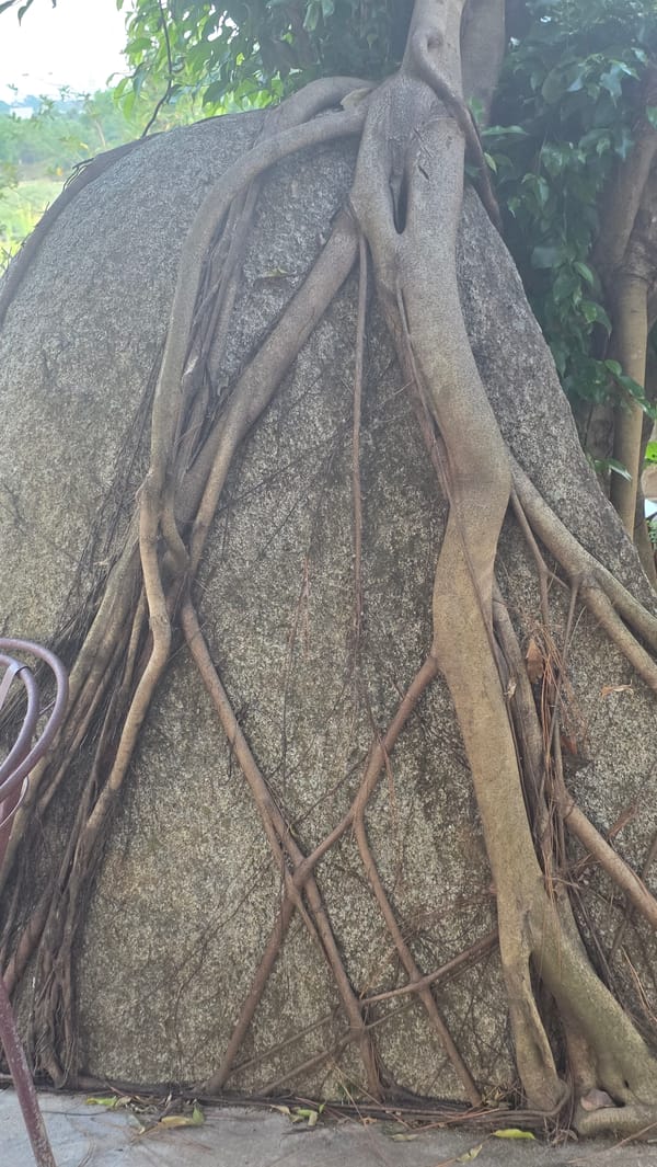 Morning Life Documented in Vietnamese Town of Ea Tê