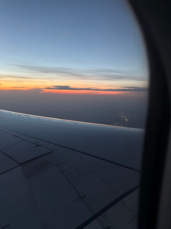 Aircraft passenger captures twilight view over Russian city