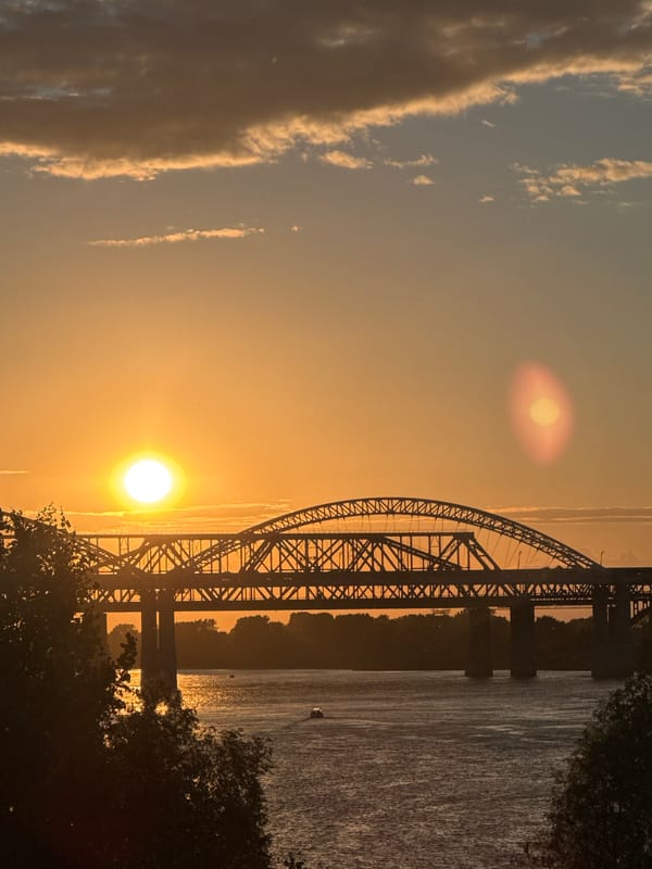 Dusk along the Volga: bridges, a dog walk, and city traffic