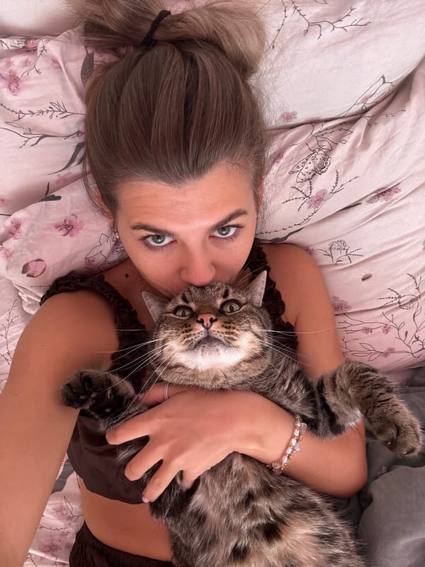 Morning cuddles with tabby cat in Chaikovsky bedroom