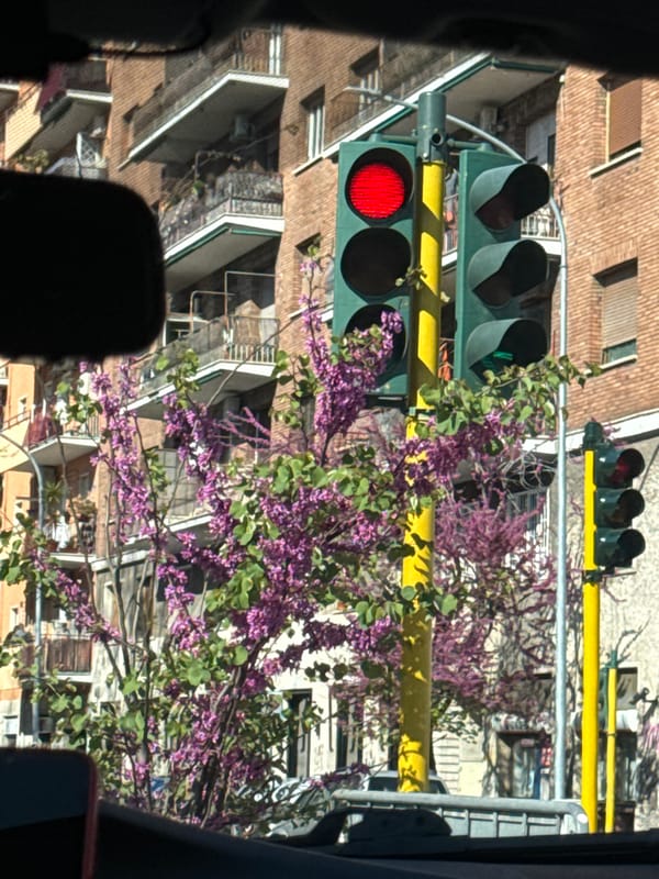 Rome street scenes captured during afternoon observations