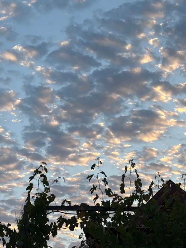 Golden hour sky and a quiet moment outdoors