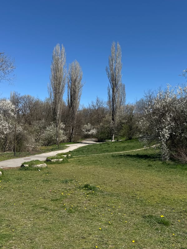 Spring blooms emerge in Sofia park amid dandelions