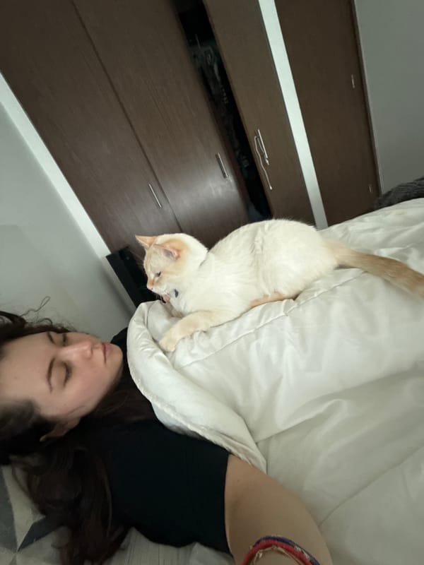 Woman and blue-eyed cat share quiet moment on bed