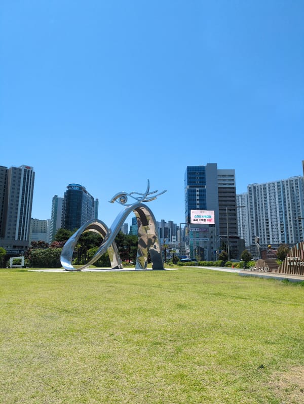 Early morning documentation of Daegu landmarks and urban scenes
