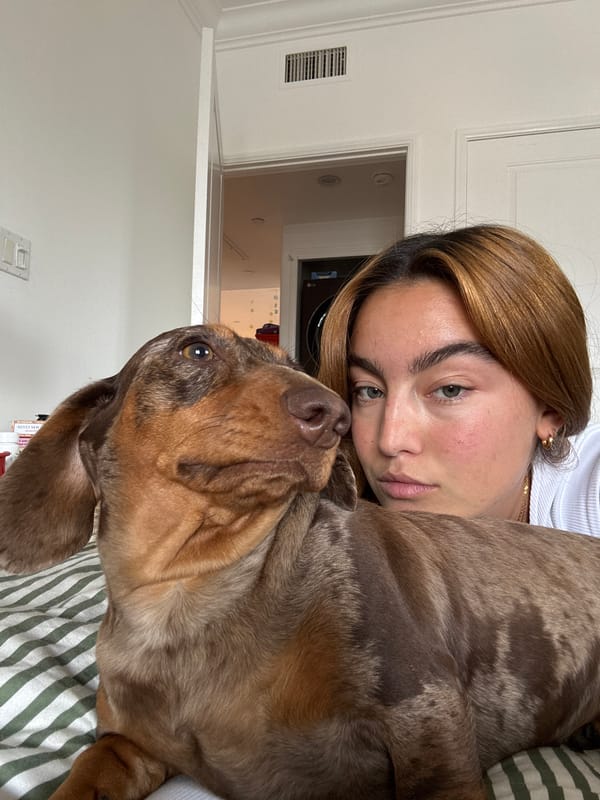 Woman and dachshund share quiet moments in Los Angeles bedroom