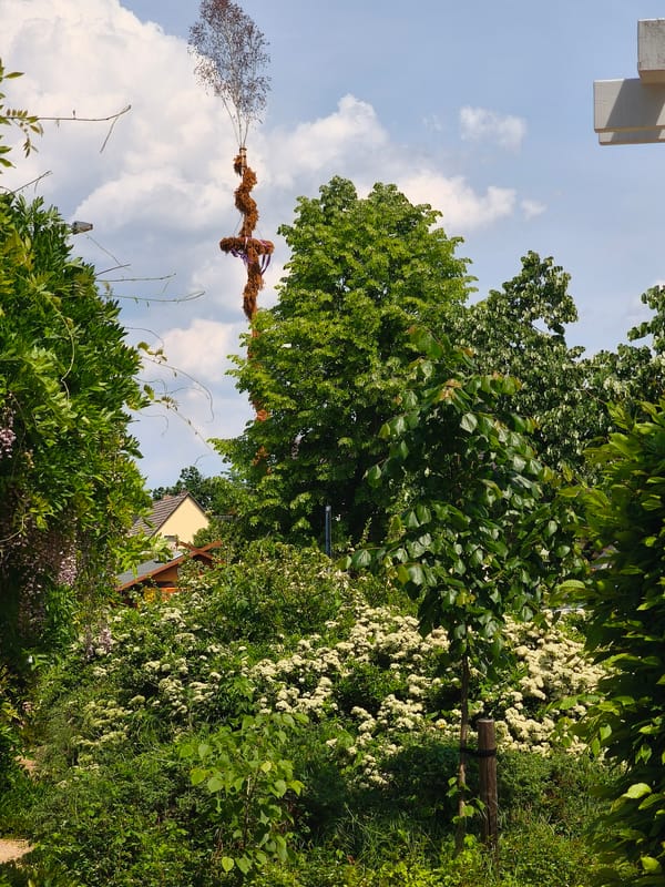 Spreewald region landmarks and abandoned railway infrastructure documented