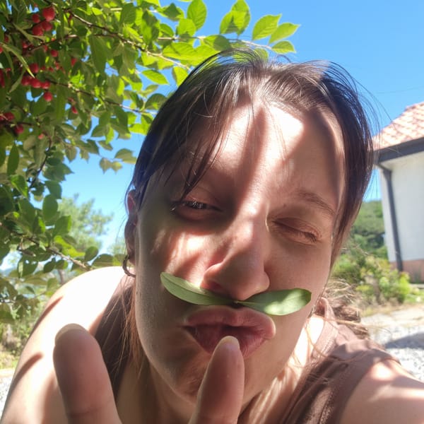 Lazy summer day in Dunnae-myeon: cherries, a dog, and a toddler