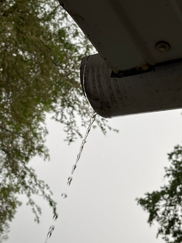 Witness documents wet urban scenes during early morning rain
