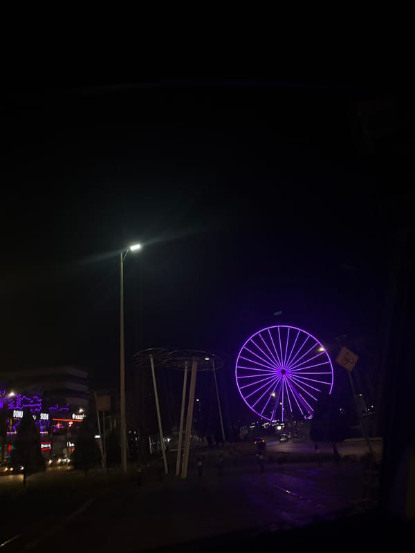 Purple Ferris wheel illuminates Puebla commercial district at night