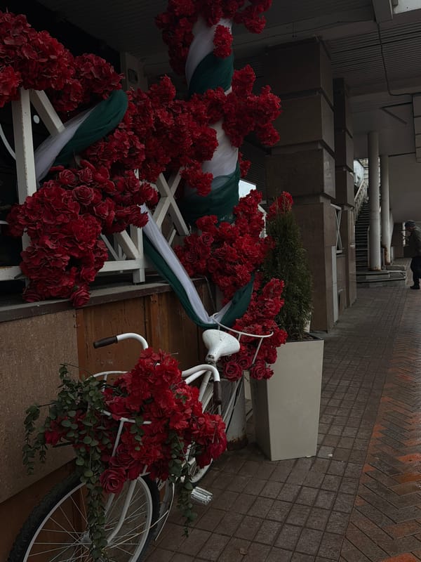 Morning street photography and floral bicycle display in Perm