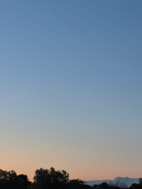 Twilight sky over Sooblase treeline, midsummer evening