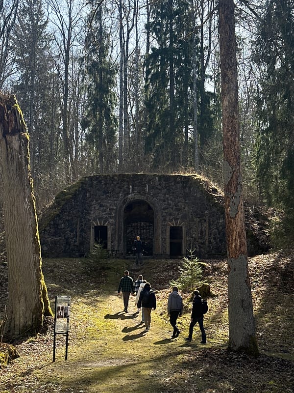 Spring blooms observed near stone building in Bīriņi forest