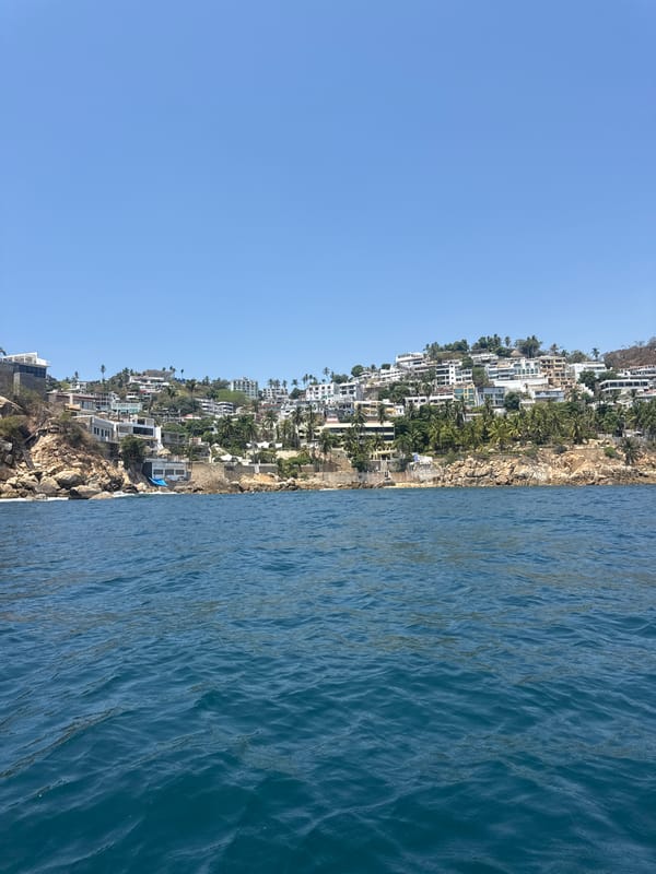 Hillside residential area captured in coastal Acapulco