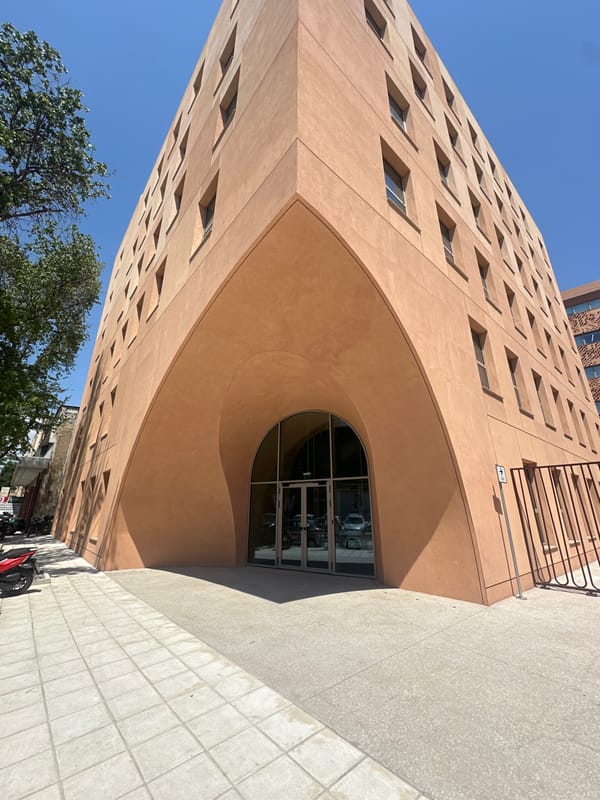 Dogs, cats, and modern architecture at a Thessaloniki campus