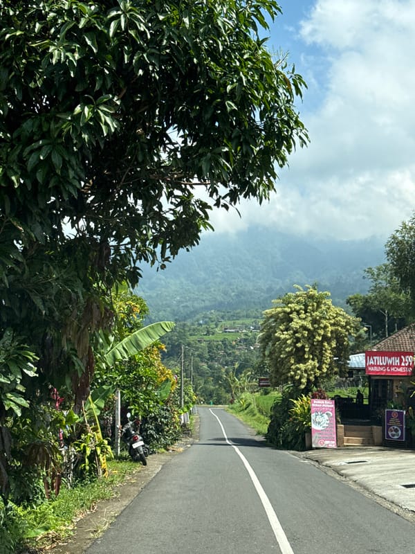 Scenic drive documented through mountainous Penebel, Indonesia countryside