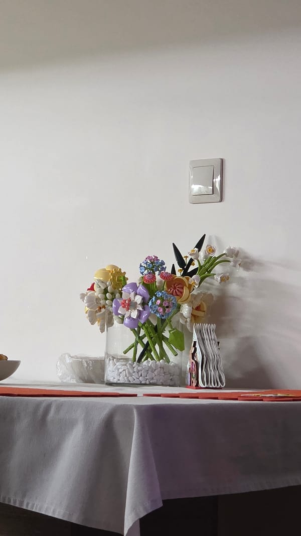 Interior home scenes with decorations captured in Stara Zagora