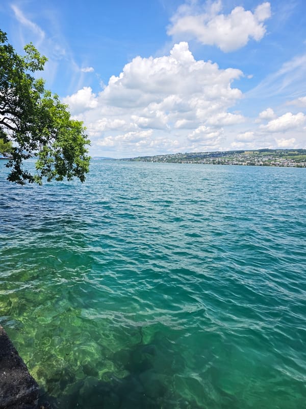 Lake Zurich's turquoise waters from Horgen's shoreline