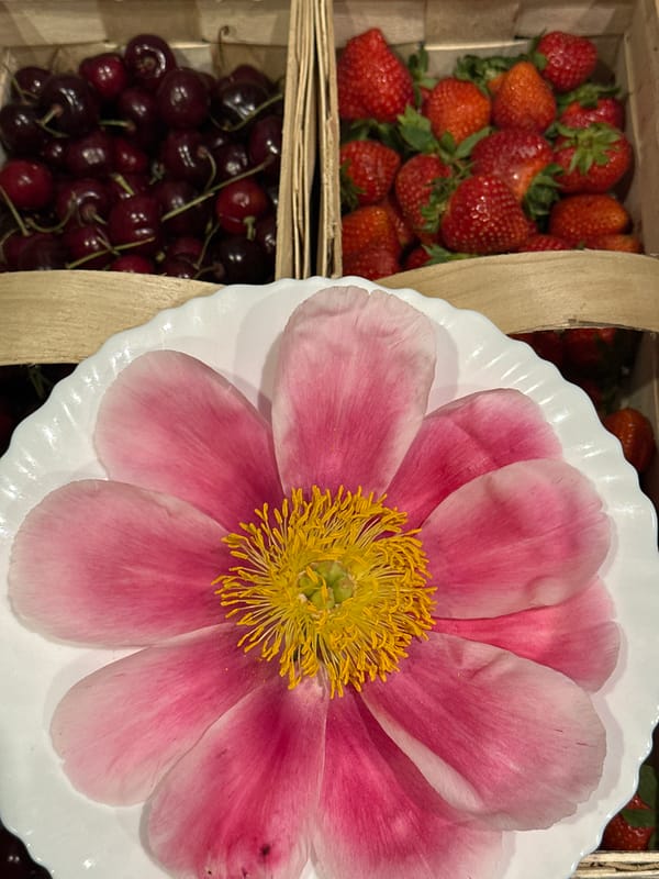 Spring flowers and fresh berries photographed in Wisła, Poland