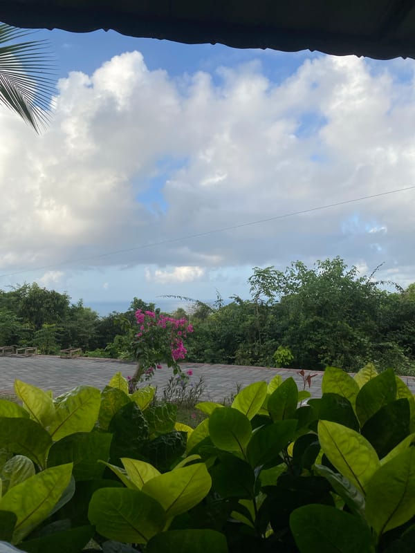 Oceanview moment with tropical foliage, Kuta Selatan