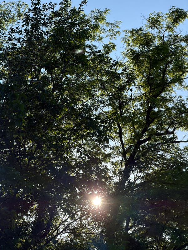 Brief park visit documented in Lovech, Bulgaria