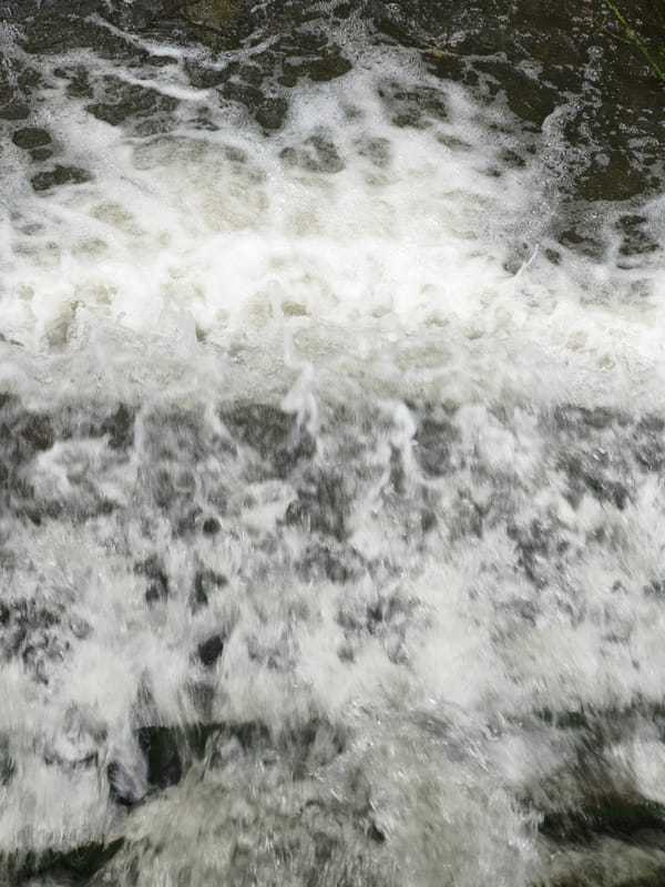 Park waterfall attracts wildlife, visitors during afternoon hours