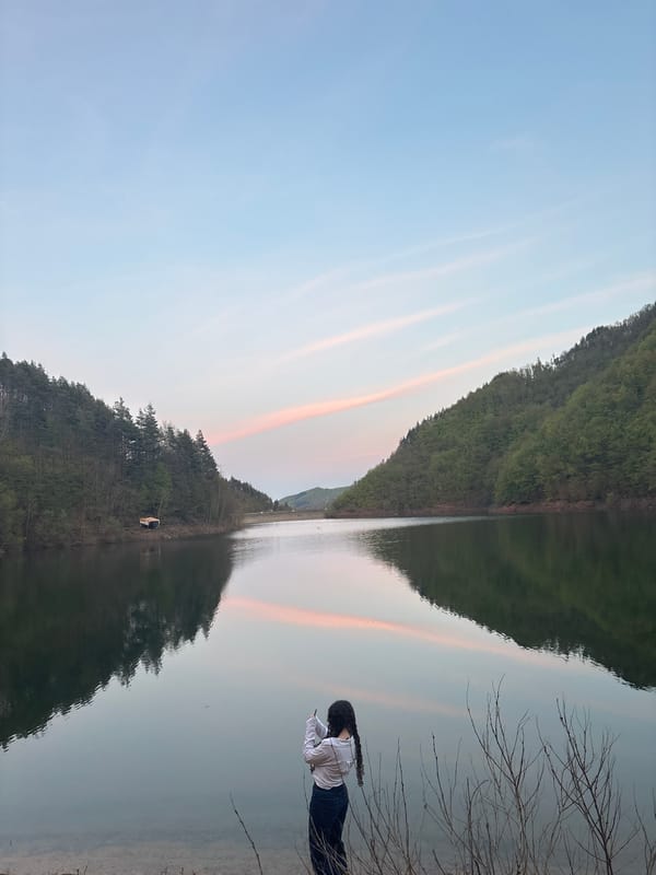 Peaceful lake moments documented during golden hour in Bulgaria