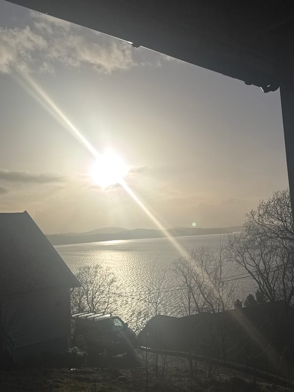 Sunny coastal view captured in Bergen, Norway