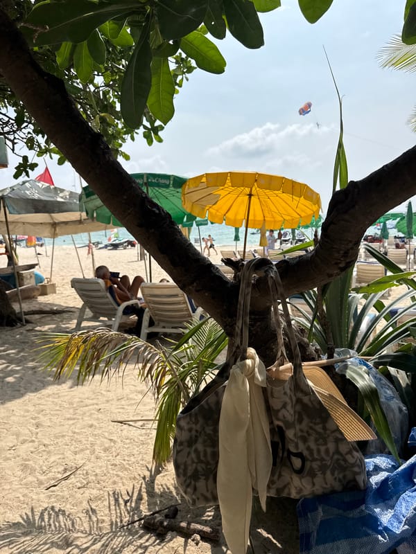 Woman plays with dogs on Patong beach early morning
