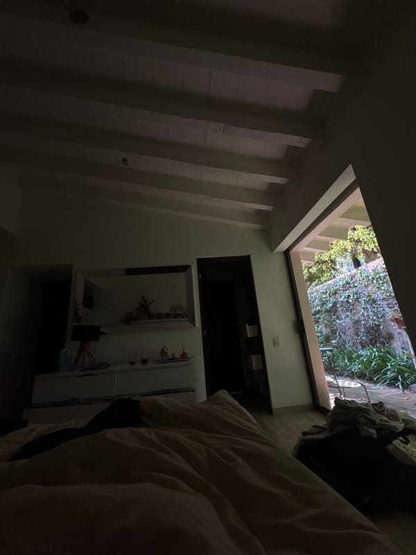 Mexico City resident photographs upward view of skylight