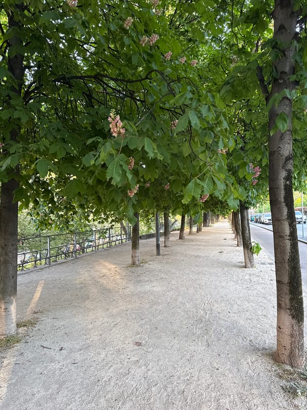 Spring afternoon gathering documented in Milan's Parco Sempione