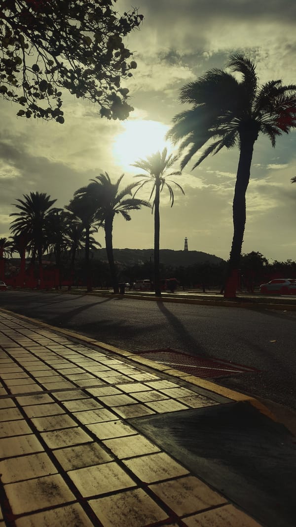 Walking tour captures street life in coastal Pedro González, Venezuela