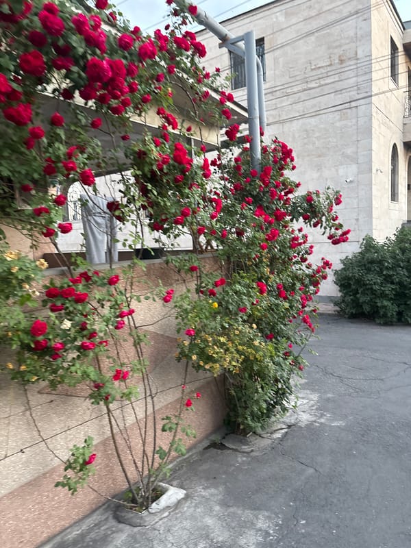 Yerevan resident watches Arsenal beat PSG while documenting local streets
