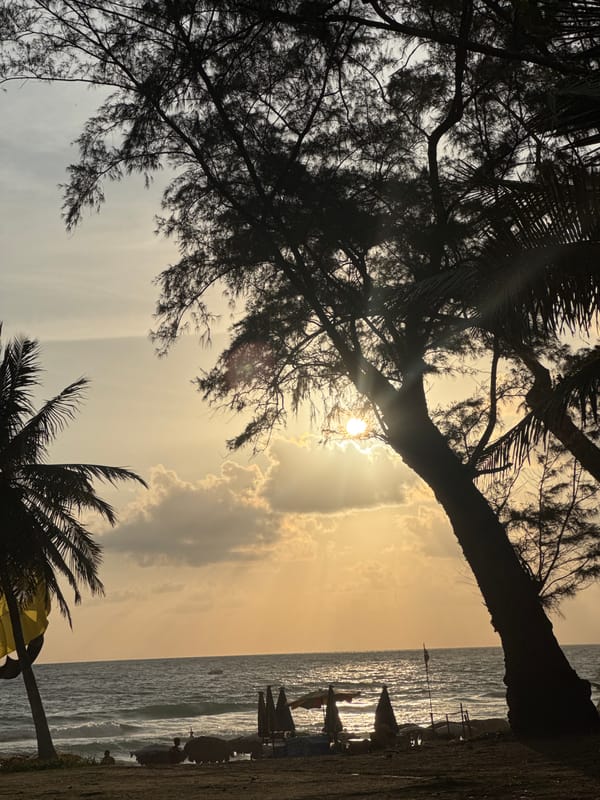 Karon Beach at dusk, palm trees and fading light