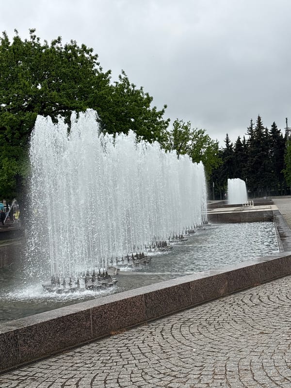 Ordinary morning documented across Saint Petersburg's streets and parks