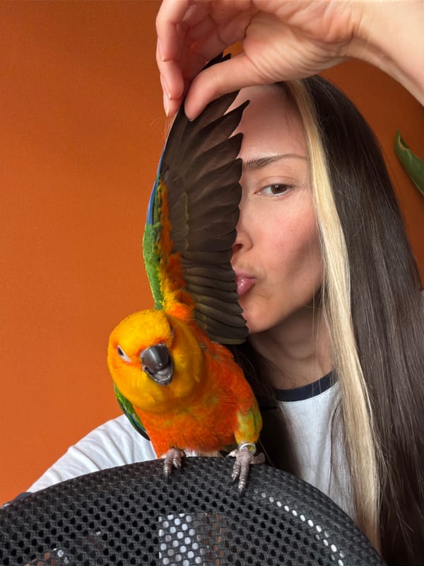 Woman photographed with Sun Conure parrot in Khimki, Russia