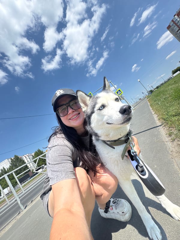 Summer walk with a husky through sunny Tolyatti streets