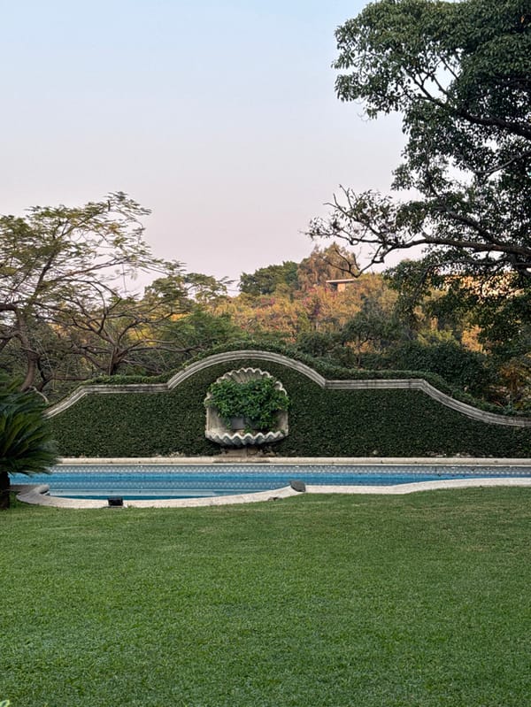 Evening gathering at Cuernavaca property features dining, landscaping