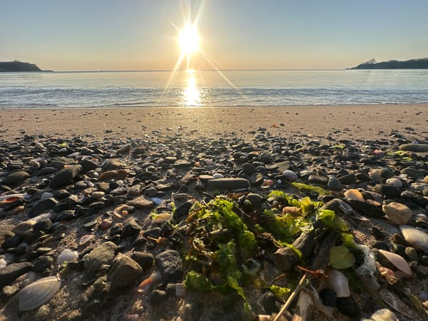 Dawn beach scenes documented in Kiten, Bulgaria